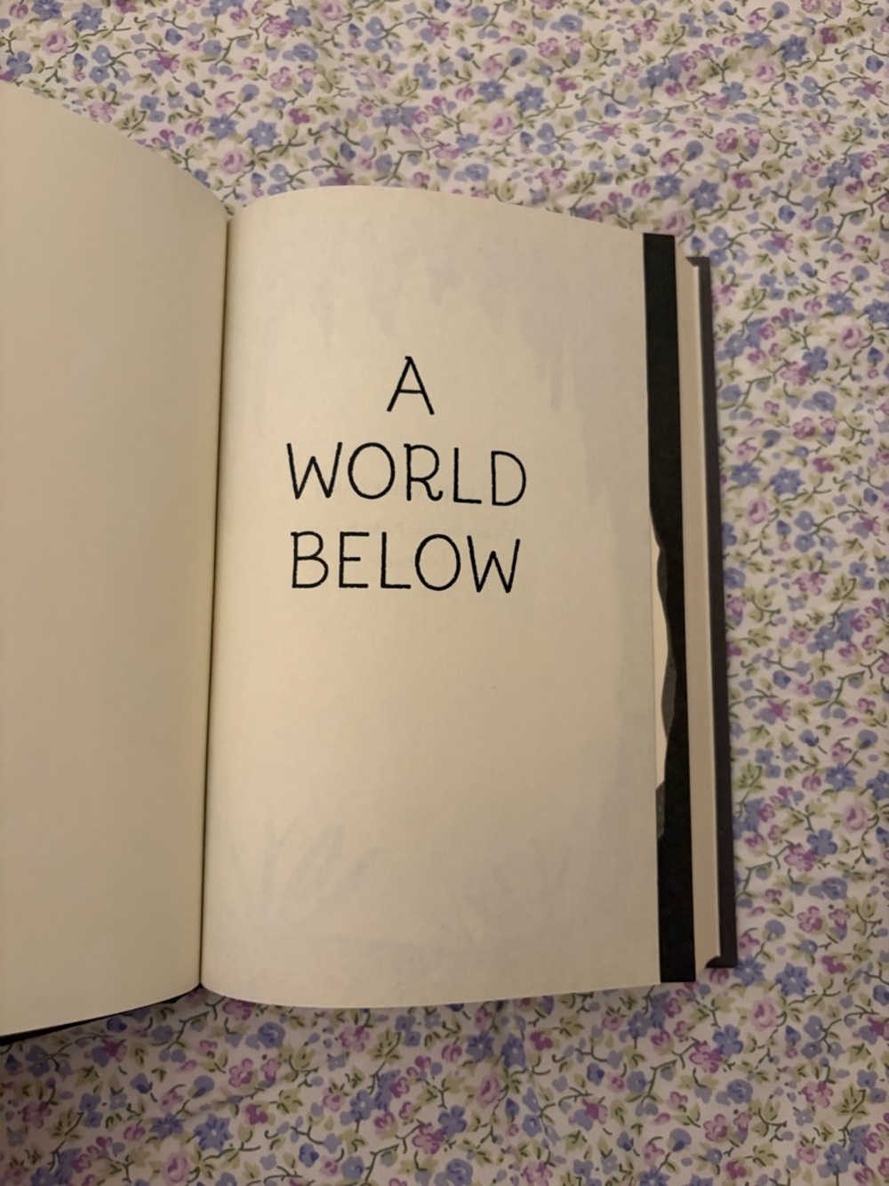 A World Below Hardcover Book - Cream Pages with Black Title
